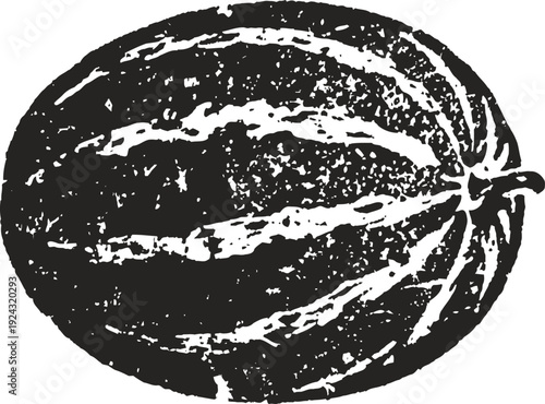 Vintage black and white illustration of a melon with detailed texture and stripes