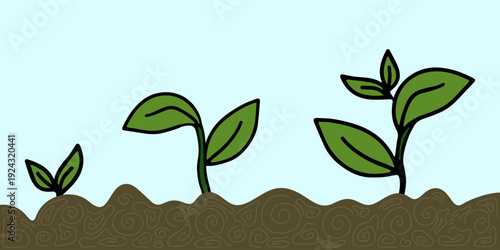 Green plant growth stages. Development of sprout in soil through time. New garden vector illustration 