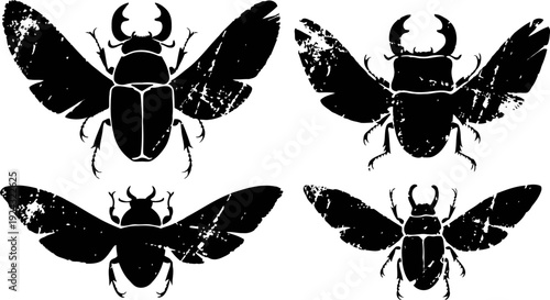 Black silhouette beetles with extended wings four insect outlines, nature wildlife illustration collection