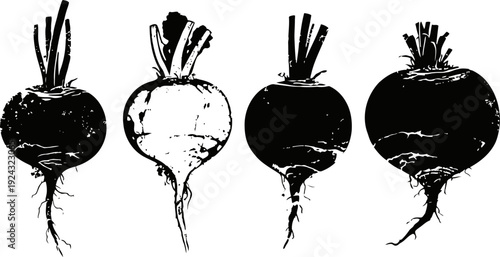 black and white beetroot silhouettes set, root vegetable illustration, garden harvest concept
