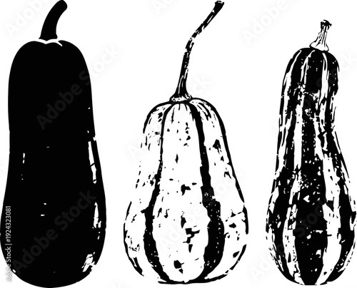 Three black and white squash silhouettes with varied shapes and textures isolated on white background