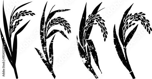 Grain plant silhouettes with textured leaves and seed clusters in black and white illustration