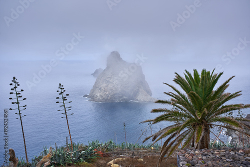 Roque de Anaga in fog