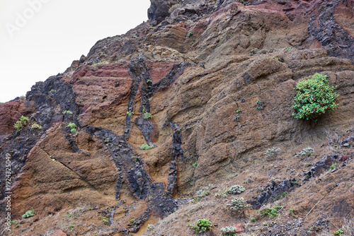 Volcanic dikes in Anaga cliff face