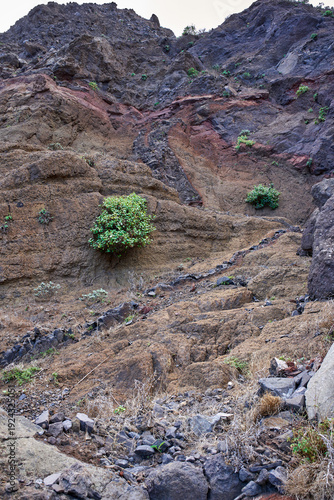 Volcanic dikes in Anaga cliff face