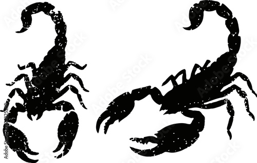 black scorpion silhouettes with curved tails and pincers set on white background