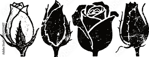 Black vintage rose blossoms silhouettes four rough textured floral buds on white background