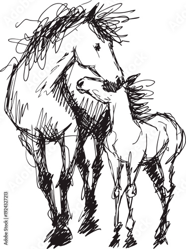 Sketch of a mare and foal nuzzling, illustrating horse family bond and maternal care