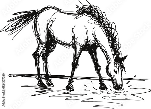 Sketch of horse drinking water from pond, black ink drawing of grazing animal drinking
