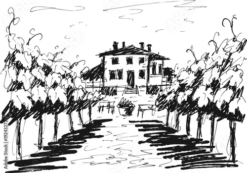 Rustic vineyard estate with grapevines lining the pathway and a two story farmhouse