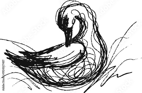 abstract swan drawing scribble line art bird sketch on white background minimalist monochrome animal illustration