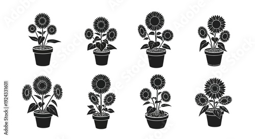 Eight potted sunflower variations shown in silhouette.