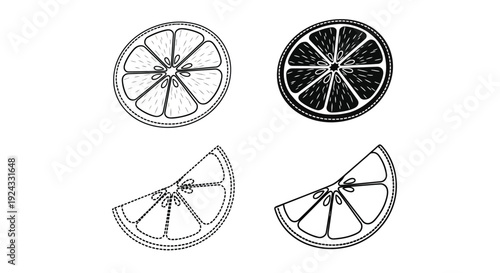 Citrus fruit slices show outline and solid contrast.