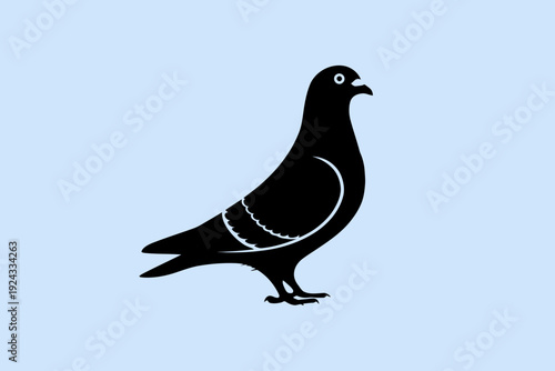 A sleek black silhouette of a pigeon standing on a plain background isolated on white background, Vector, illustration
