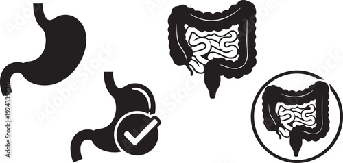 Black and white of stomach and intestines digestive system anatomy