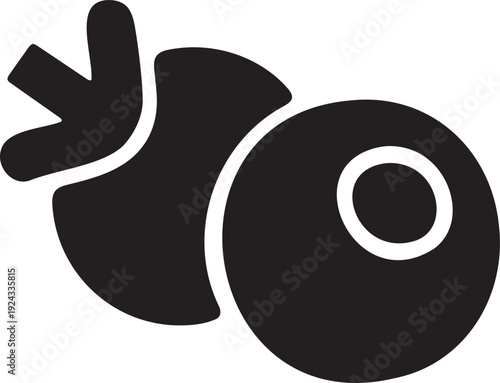 Two dark blueberries shown in silhouette with stems and leaves