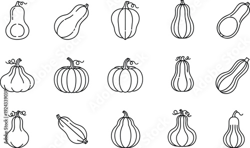 Collection of various hand drawn pumpkin and squash line art icons isolated on white background