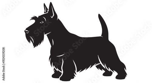 Black silhouette of a standing scottish terrier dog
