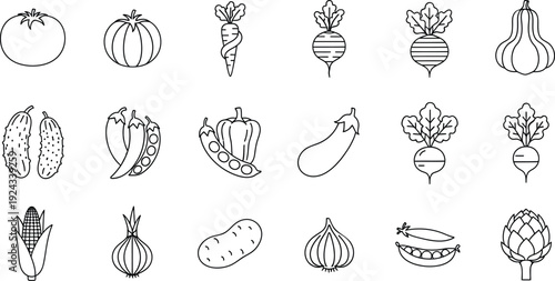 Set of eighteen minimalist hand drawn vegetable line art icons on a plain white background