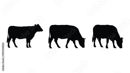 Three black silhouettes of cows grazing in a field depicted in a simple style
