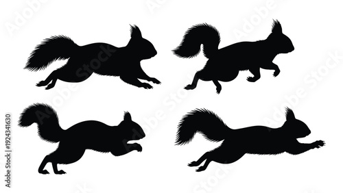 Four black silhouettes of squirrels in various dynamic poses against a white background