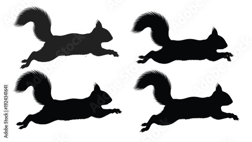 Four silhouettes of running squirrels in different poses against a white background