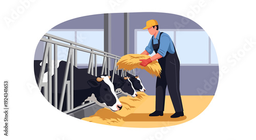 Farmer feeding cows in a barn on a dairy farm.