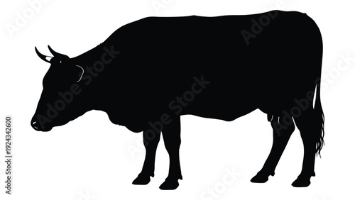 A striking silhouette of a bull standing in profile against a white background