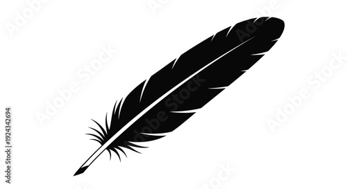 A single black feather rests diagonally against white space.
