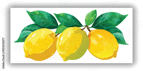 A watercolor painting depicts three lemons with green leaves against a transparent background. The lemons are the primary subjects, painted in vibrant shades of yellow with subtle tonal variations and
