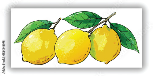 A watercolor painting depicts three lemons with green leaves against a transparent background. The lemons are the primary subjects, painted in vibrant shades of yellow with subtle tonal variations and