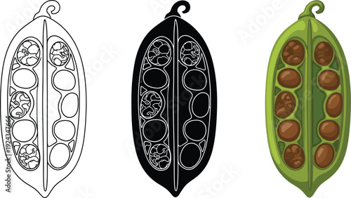 Three stylized representations of a pea pod including outline silhouette and full color vector illustration isolated on white background