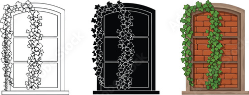 Collection of arched windows with climbing vines vector illustrations in outline silhouette and colored styles for architectural design and nature concepts