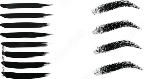 Collection of various eyebrow shapes and styles
