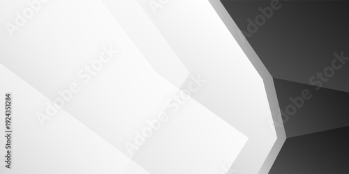Abstract geometric white and gray shape background. texture white pattern. vector illustration