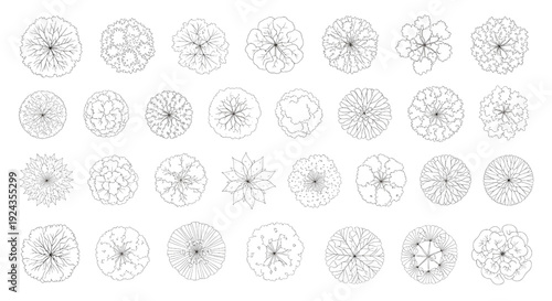 Tree Top View Outline Vector Collection – Diverse Foliage Patterns for Architecture and Landscape Plans