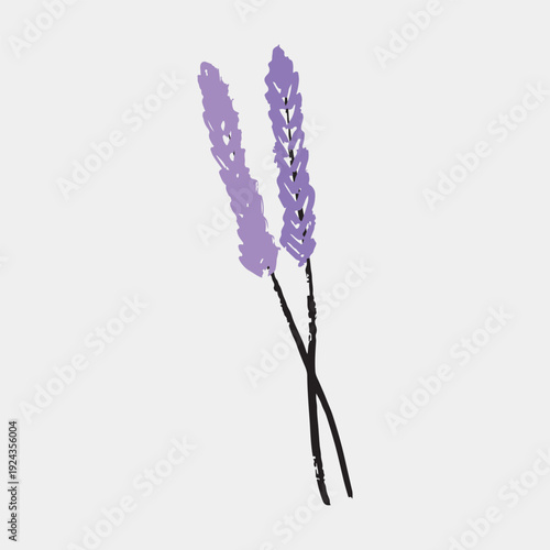 Hand drawn two lavender branches with purple flowers. Greeting card design. Vector sketch illustration in vintage doodle crayon charcoal style