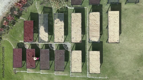 4K Cinematic Aerial View of Geisha Coffee Drying on African Beds in Panama Highlands, Volcan, Panama - stock video