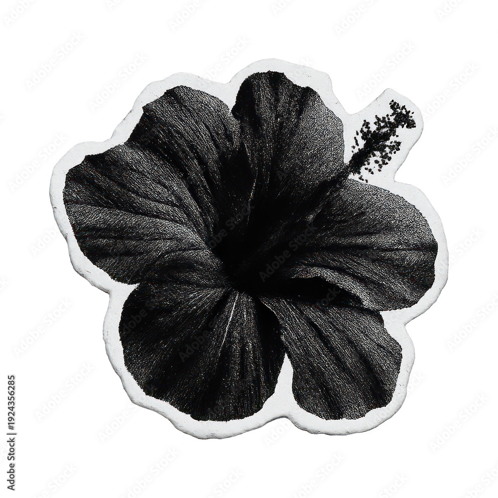 Fototapeta premium PNG Elegant black hibiscus illustration