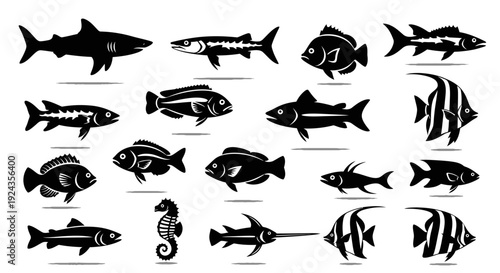 Black silhouette illustrations of various aquatic fish species and marine life