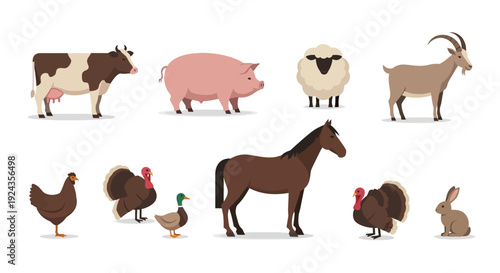 Farm animals illustration cow pig sheep goat horse chicken turkey duck rabbit