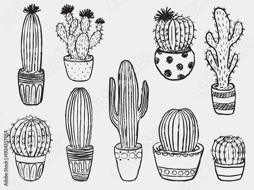 Grunge cactus in pot collection. Potted succulent plants crayon illustrations. Ready for print, design projects, interior. Hand drawn vector sketch charcoal chalk doodle drawing