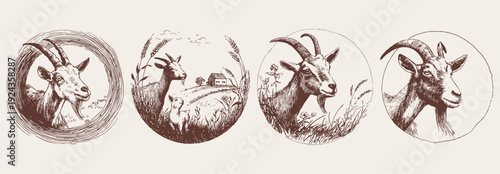 Goat farm animal logo hand drawn sketch style. Set of rural goat head emblems with grass and farmhouse. Banner for agriculture branding and organic food packaging in pencil drawing style.