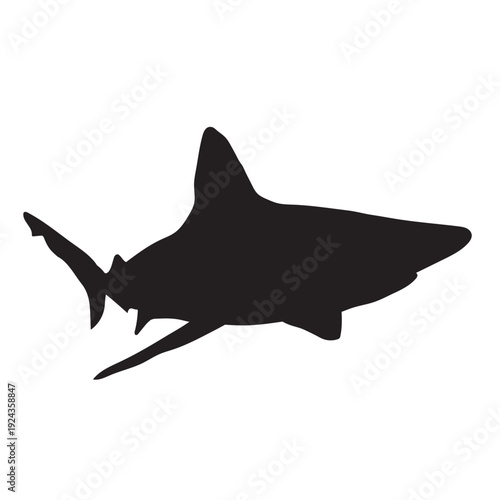 Sandbar Shark Silhouette - Editable EPS