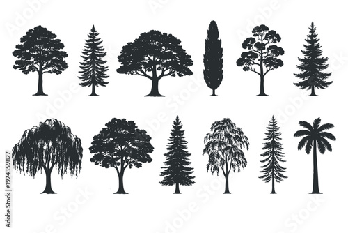 Set of detailed tree silhouettes, including conifers, cypress, willow and palm, arranged as a clean nature collection for landscape design, maps, logos, web posters and forest scenes.