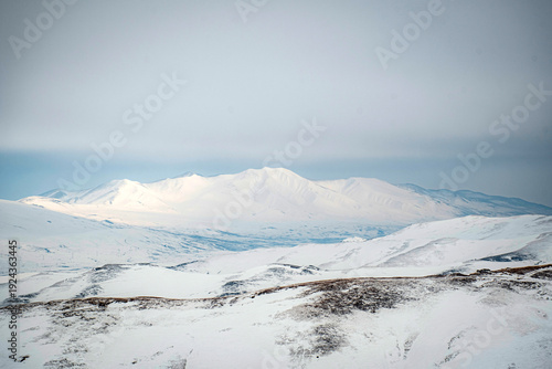 winter landscape with snow