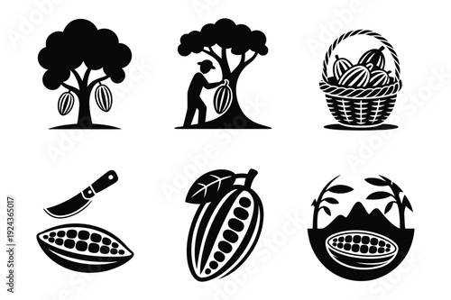Cocoa Bean Icons: Harvesting, Processing, Chocolate Production