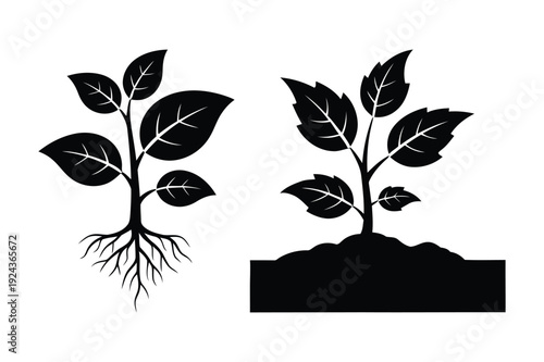 Plant seedlings with roots and growing in soil, vector art