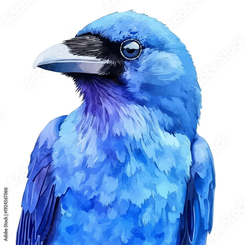 Raven, watercolor illustration vector, isolated on a white background.
