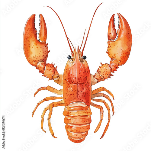 watercolor of Lobster, vector, isolated on a white background.